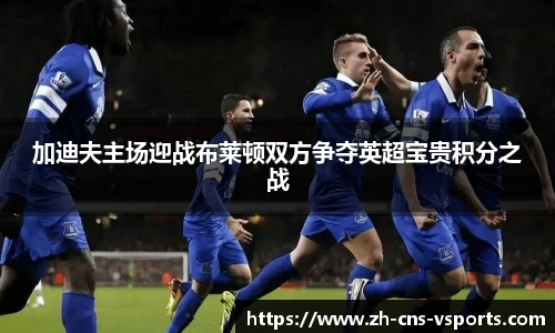 加迪夫主场迎战布莱顿双方争夺英超宝贵积分之战
